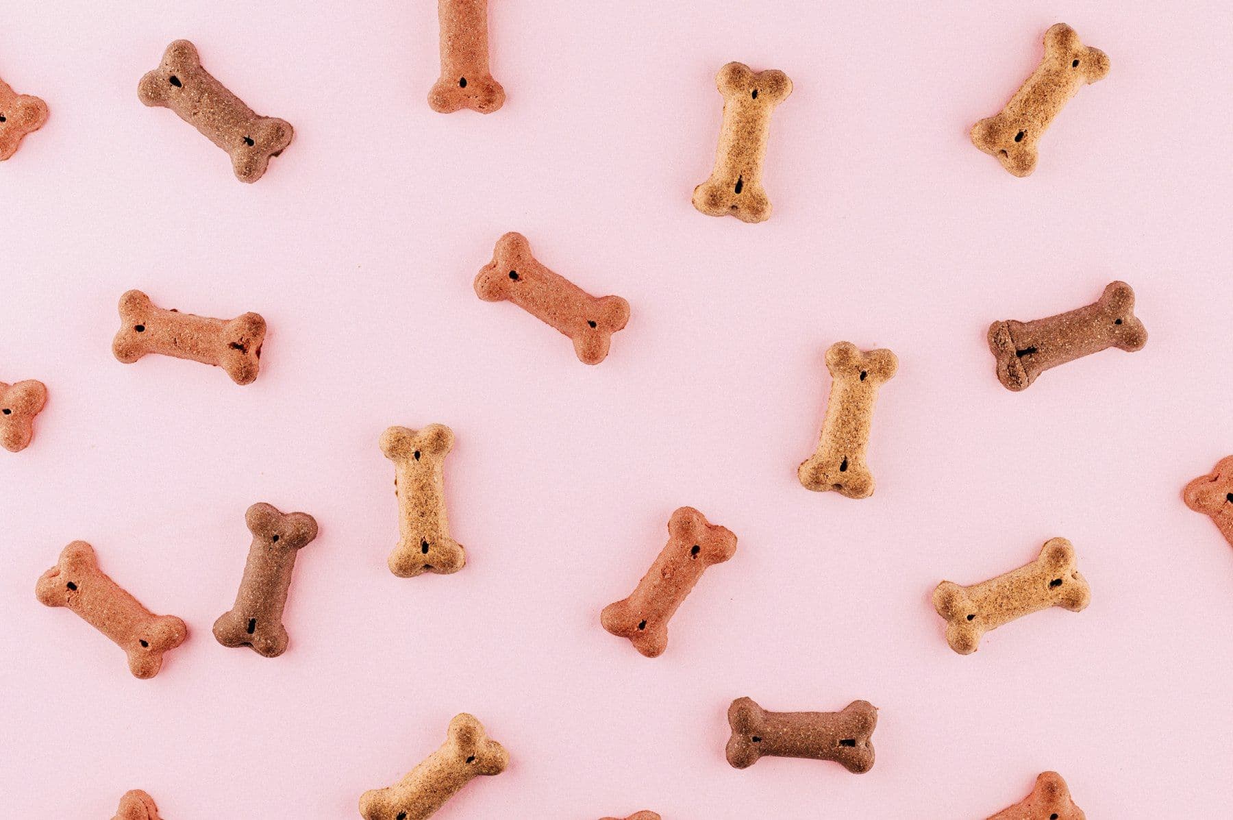 Bone shaped dog treats on a pink surface